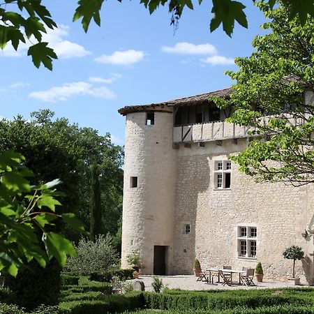 Chateau De Mayragues Castelnau-de-Montmiral Екстер'єр фото