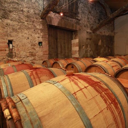 Chateau De Mayragues Castelnau-de-Montmiral Екстер'єр фото